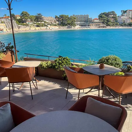 Splendid Bandol