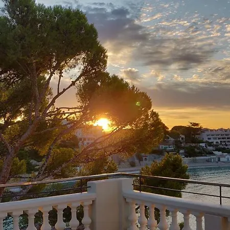Splendid Bandol